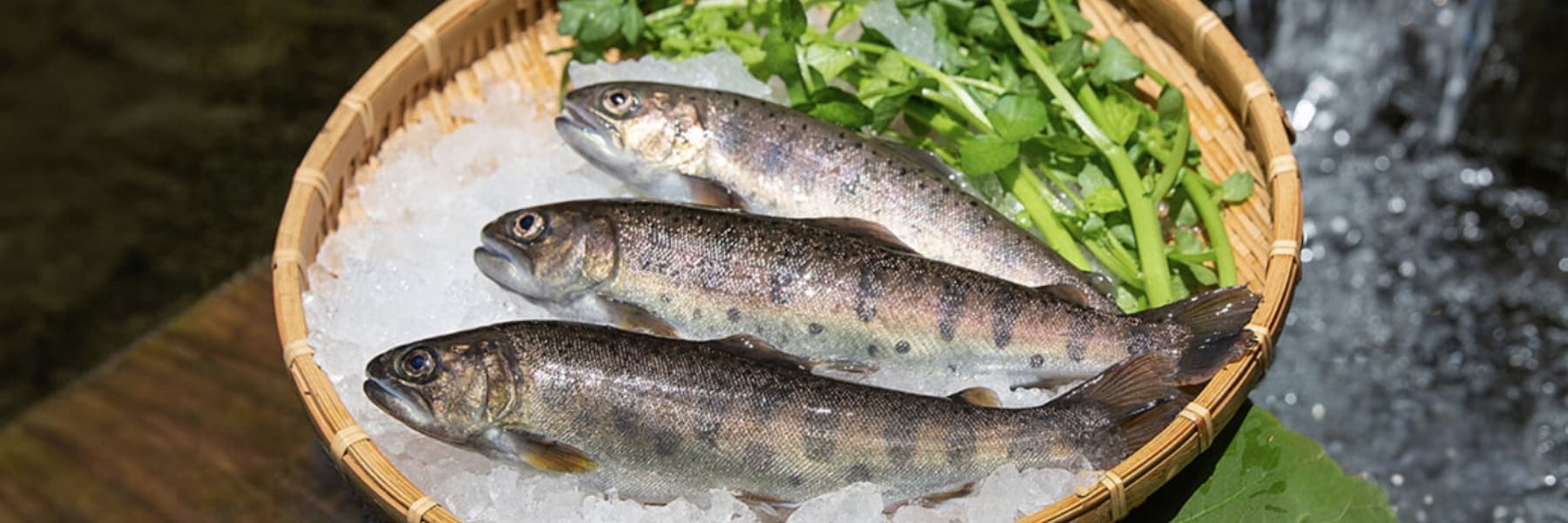 有限会社かわべ養魚場