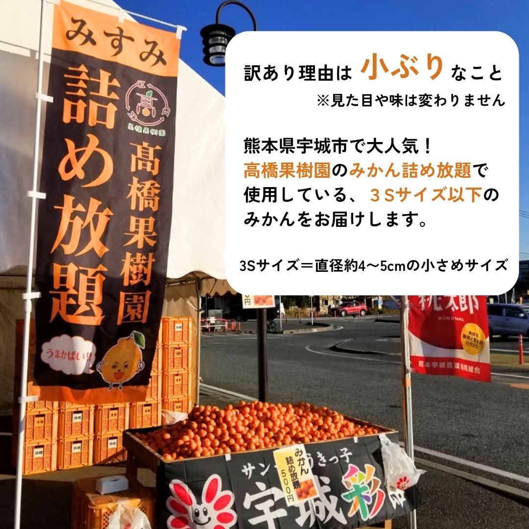 訳あり 小玉3Sサイズ以下 極早生みかん 5キロ(150玉~160玉) - サムネイル2