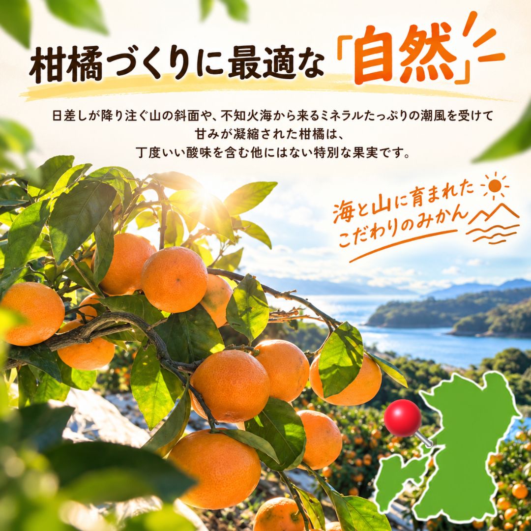 訳あり 小玉3Sサイズ以下 極早生みかん 5キロ(150玉~160玉) - サムネイル4