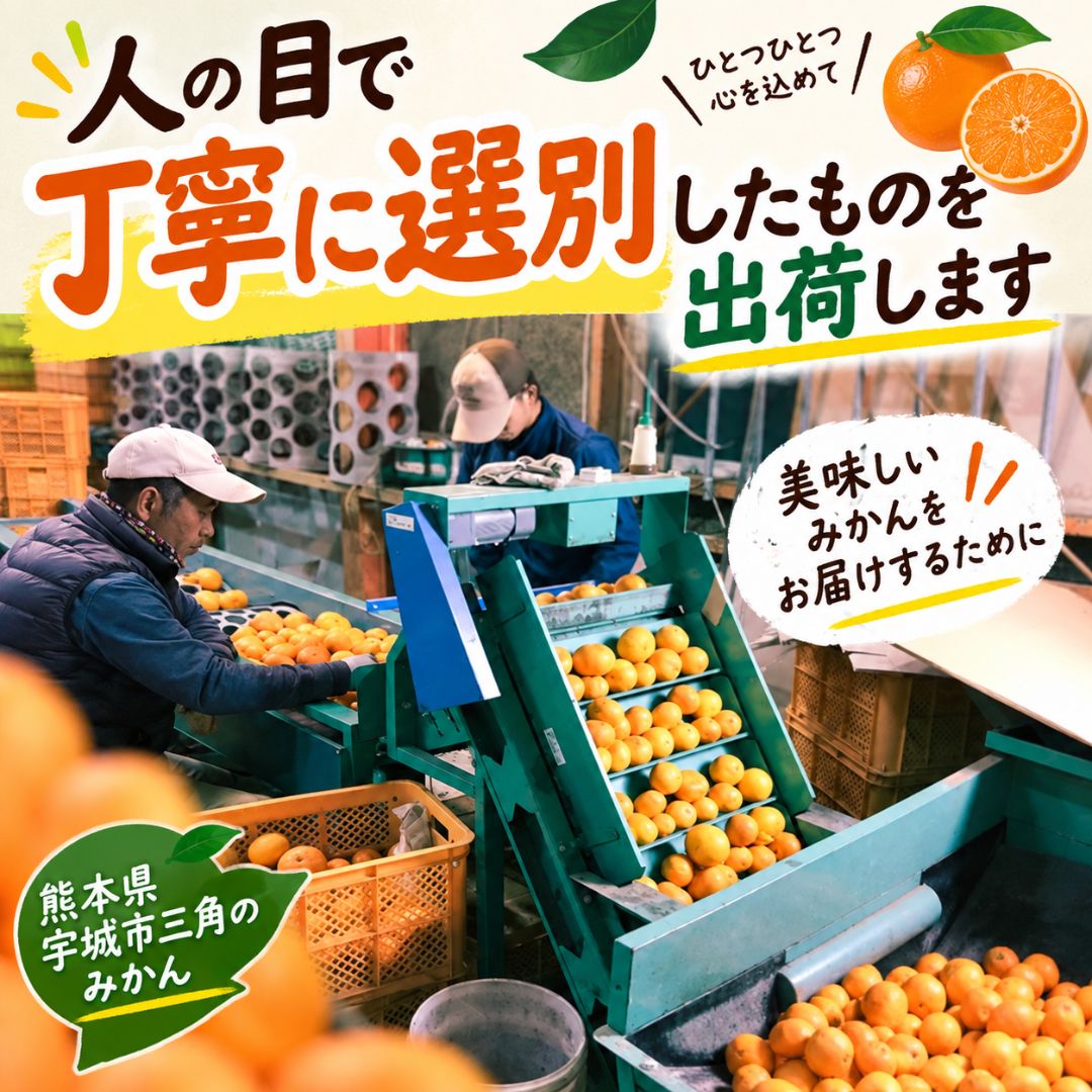 訳あり 小玉3Sサイズ以下 極早生みかん 5キロ(150玉~160玉) - サムネイル5