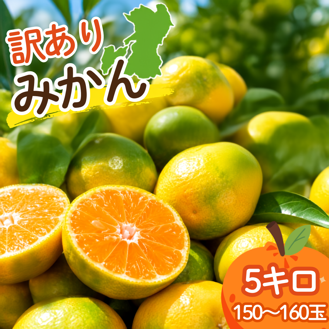 訳あり 小玉3Sサイズ以下 極早生みかん 5キロ(150玉~160玉) - 画像1