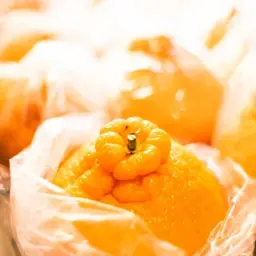 不知火(ハウス屋根掛け)3㎏ 7玉~10玉 - サムネイル2