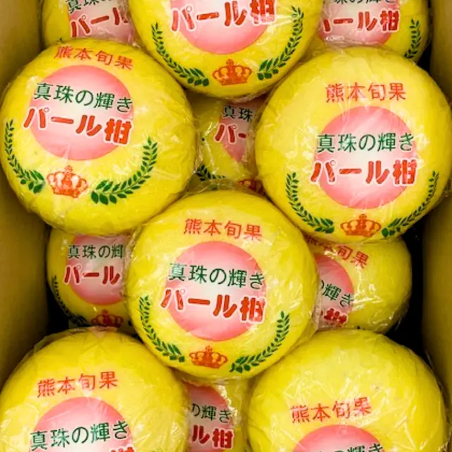 パール柑 10㎏ 12~18玉