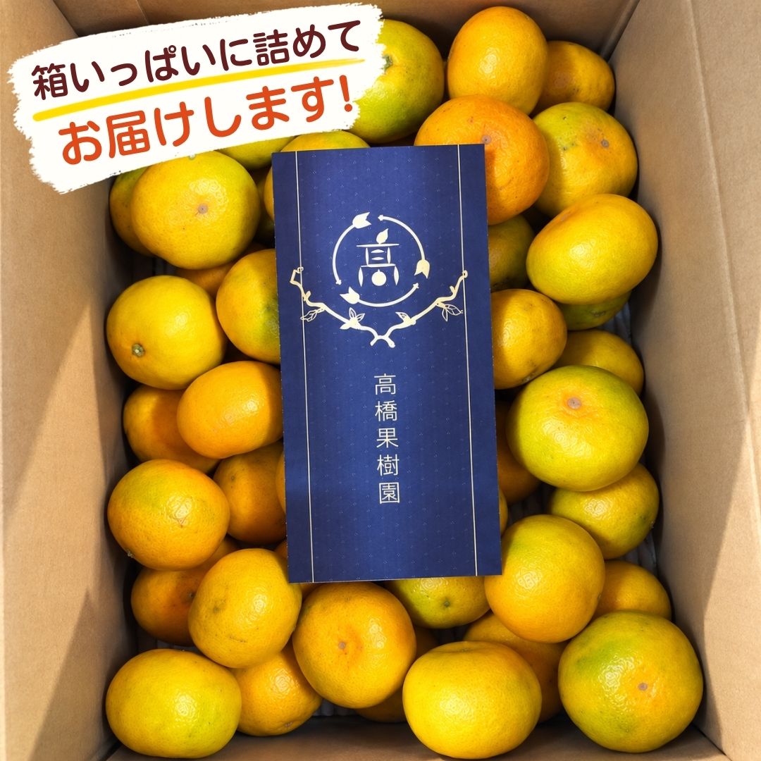 訳あり 小玉3Sサイズ以下 極早生みかん 3キロ(60玉~70玉) - サムネイル4