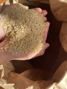 玄米カイロ座布団・YOHEHO warm cushion ネイビー - サムネイル4