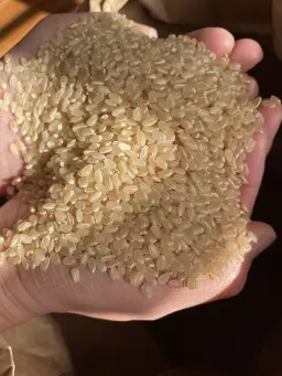 玄米カイロYOHEHO shoulder warmer ホワイト - サムネイル6