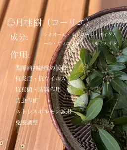 玄米カイロYOHEHO shoulder warmer ホワイト - サムネイル7