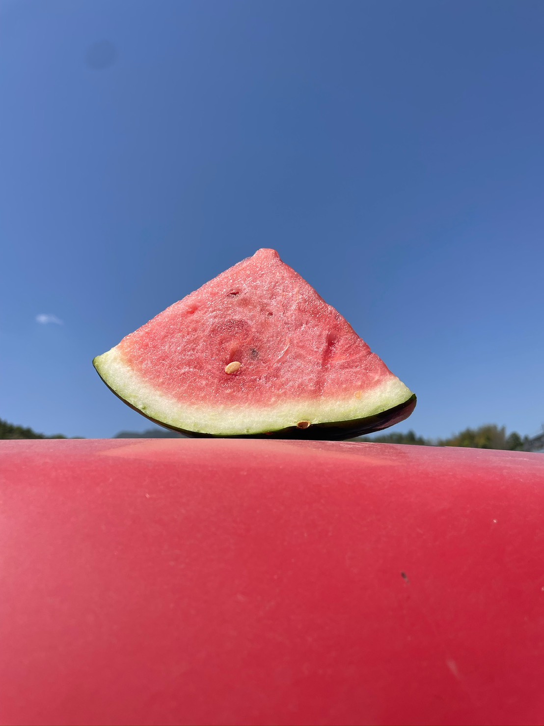 くまもと植木産🍉春スイカ(肥後漫遊) 1玉6キロ~8キロ - サムネイル3