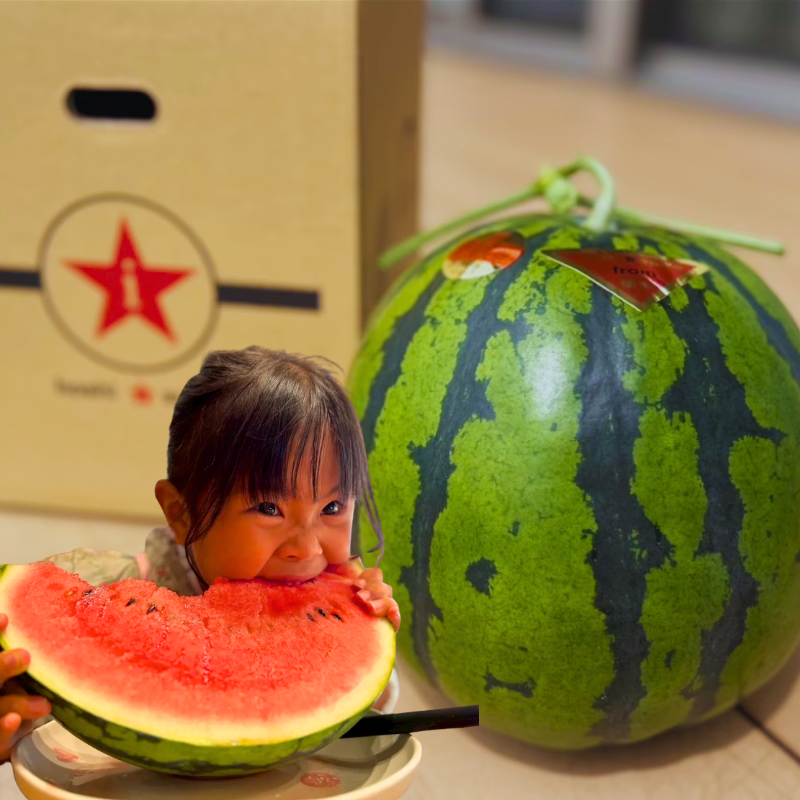くまもと植木産🍉春スイカ(肥後漫遊) 1玉6キロ~8キロ - 画像1