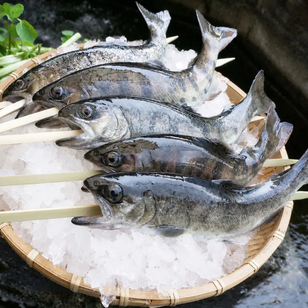 かわべの湧水やまめ串つき20匹
