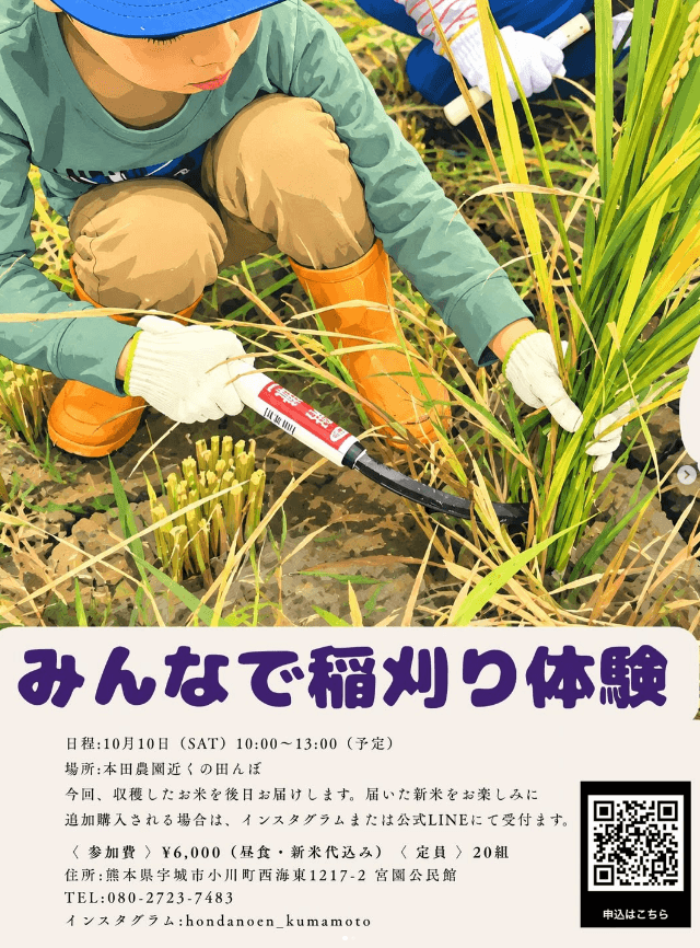 『みんなで稲刈り体験』を開催します。2026年10月10日 10:00~13:00(予定)
